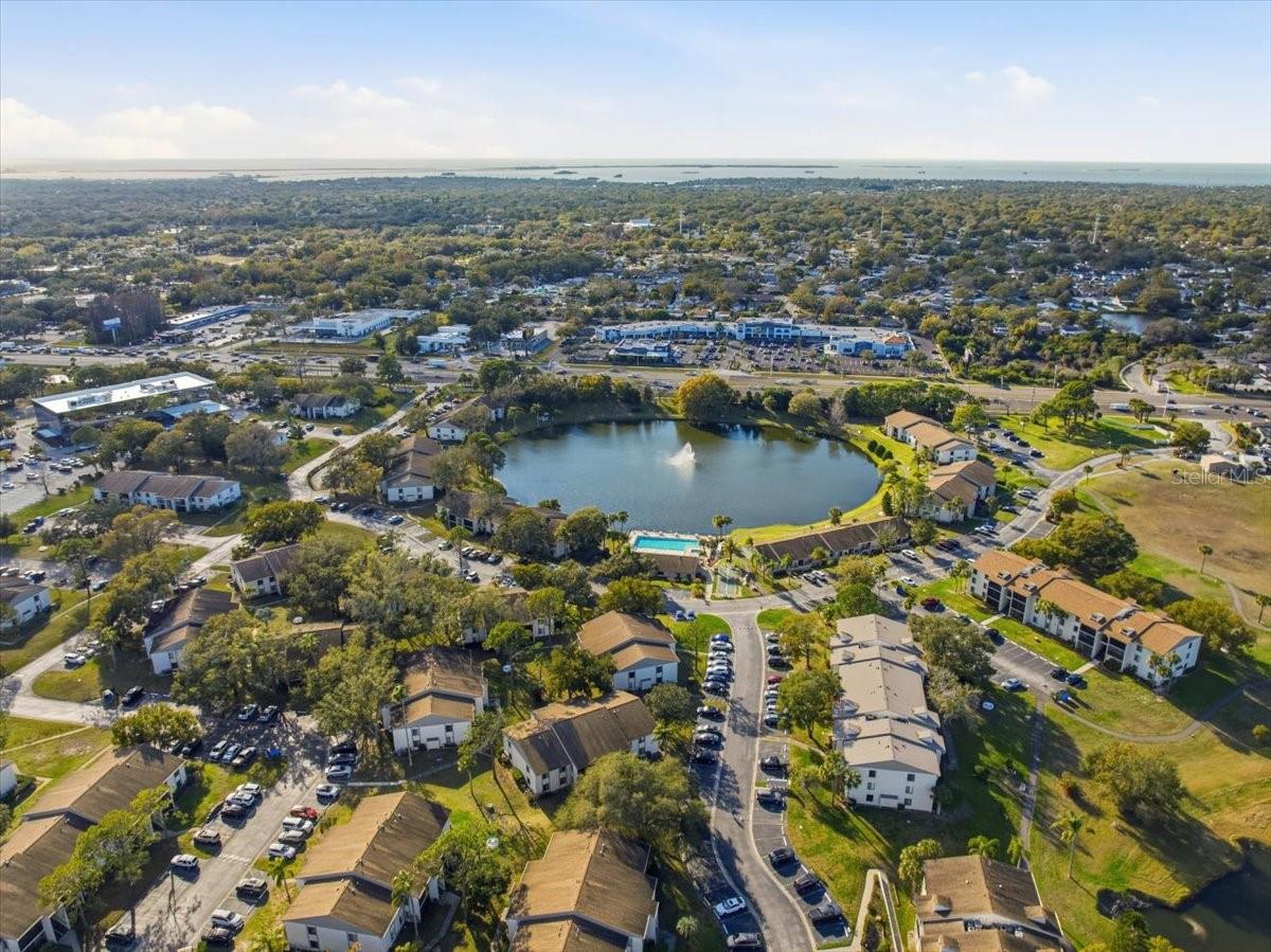 PINE RIDGE AT PALM HARBOR - Residential