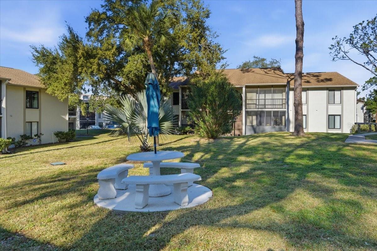 PINE RIDGE AT PALM HARBOR - Residential