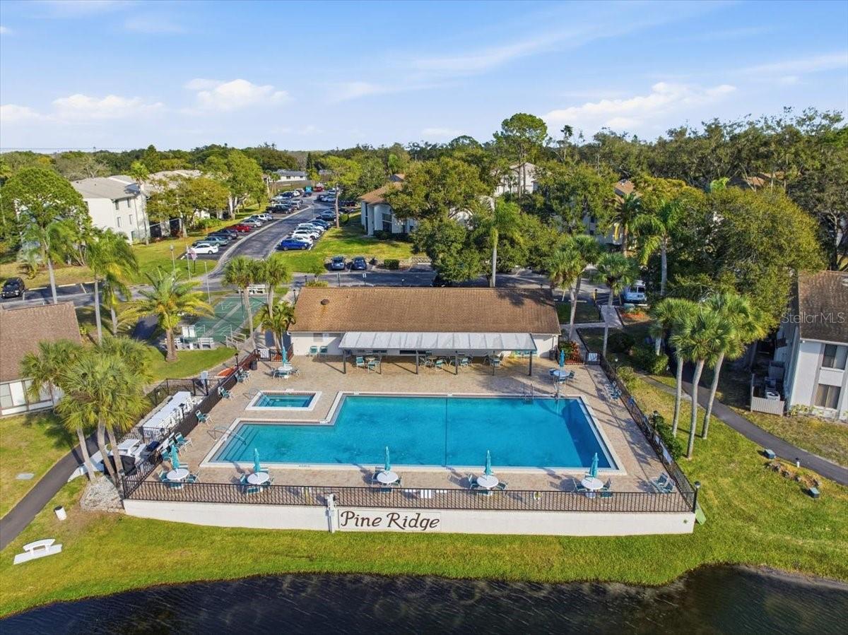 PINE RIDGE AT PALM HARBOR - Residential