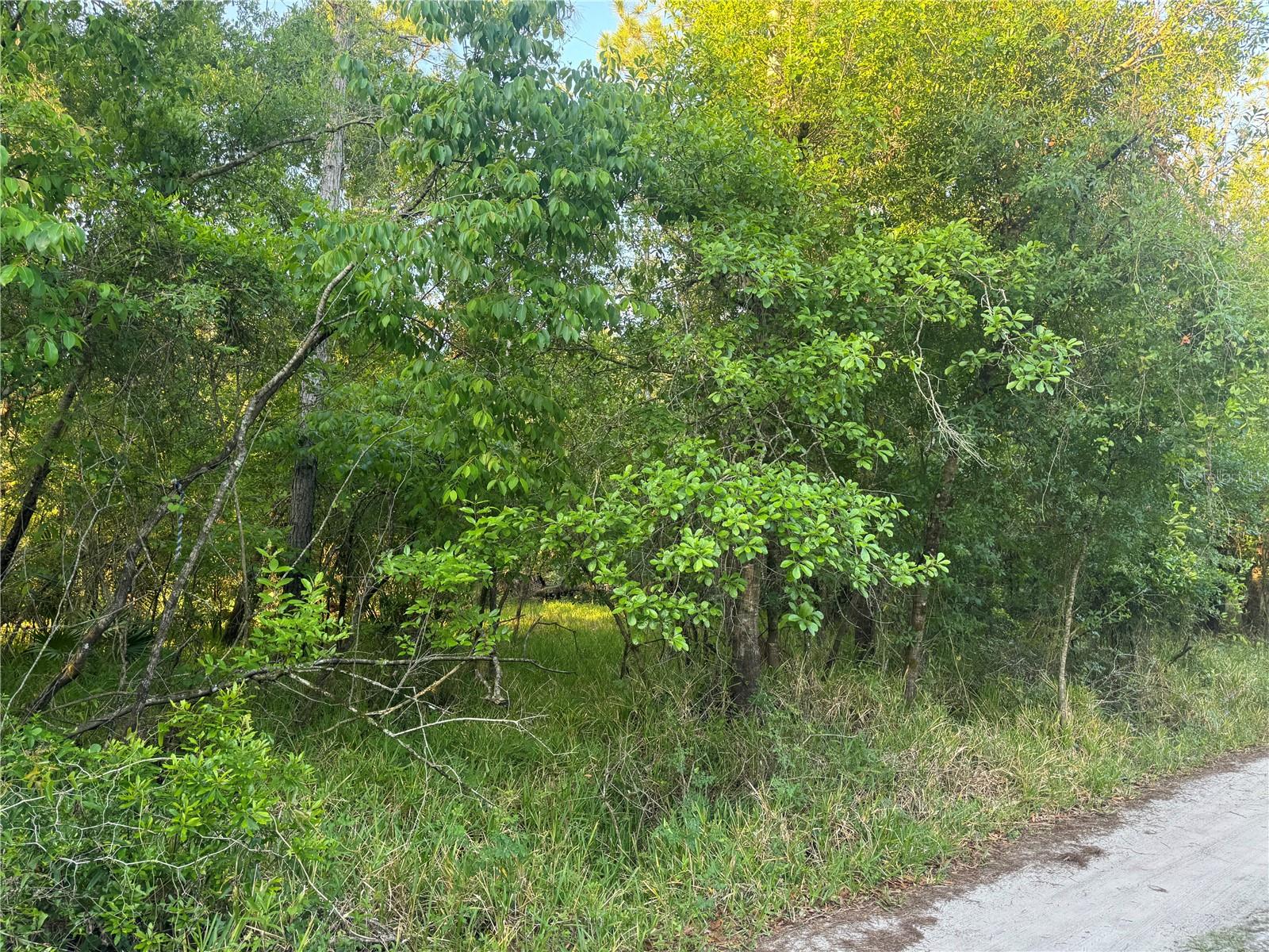 Welcome to your potential haven in sunny Arcadia! This spacious property measures over an acre and has beautiful trees, perfect for building your dream getaway or simply basking in the natural beauty. Soak up the peace and quiet away from the hustle and bustle of city life. Plus, with your very own access to a private neighborhood boat ramp, you can dive into all the fossil hunting, fishing and canoeing adventures that the Peace River has to offer. Get ready to kick back, relax and immerse yourself in the vibrant wildlife and endless fun his property has in store. Whether you are buying to just enjoy or you are looking to build your dream retreat, this property is a great choice!! Please verify with DeSoto County Building & Zoning to make sure this property will allow for your desired use.