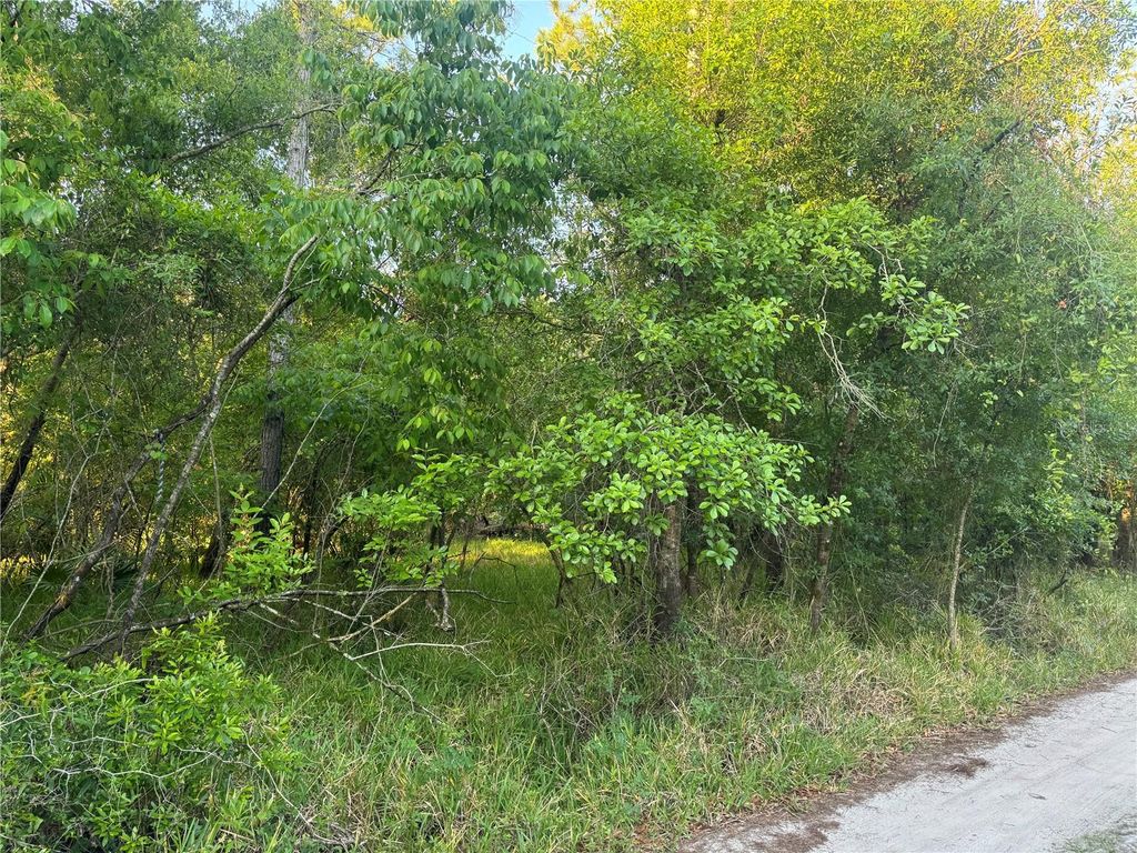 Photo of 1297 NE River Raft Drive, Arcadia, FL 34266 (MLS # C7508107)