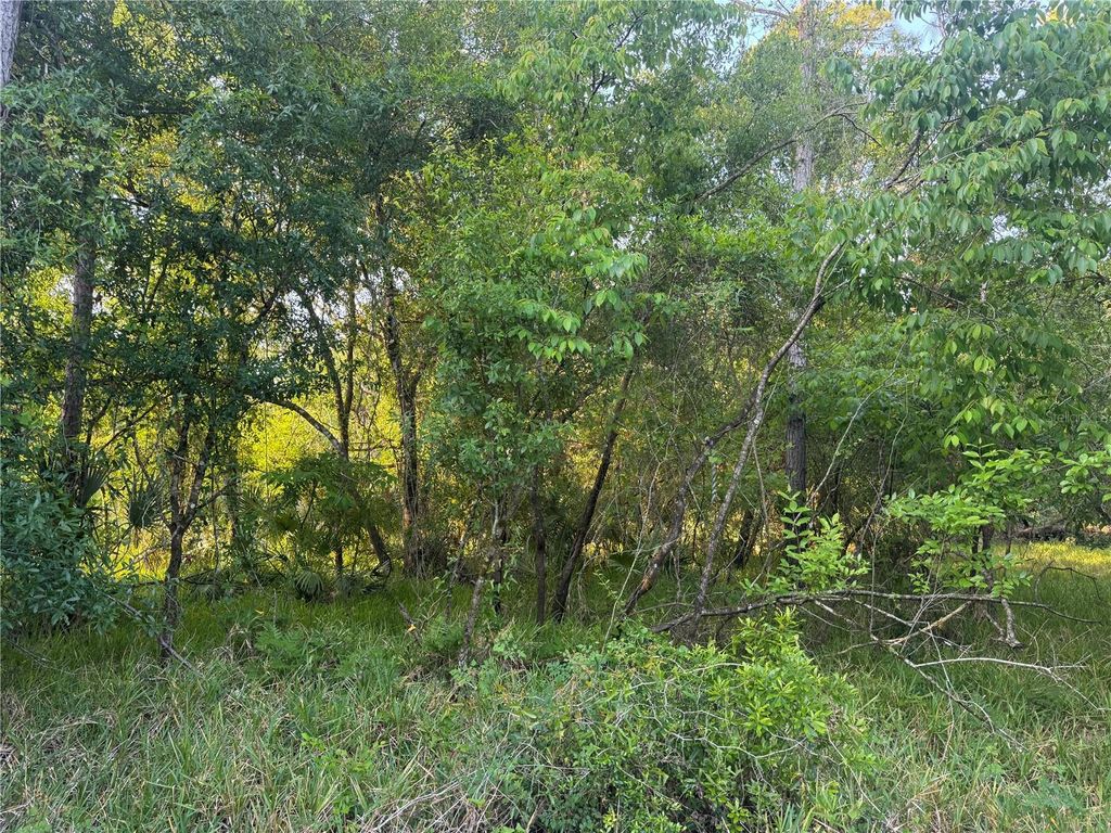 Photo of 1297 NE River Raft Drive, Arcadia, FL 34266 (MLS # C7508107)