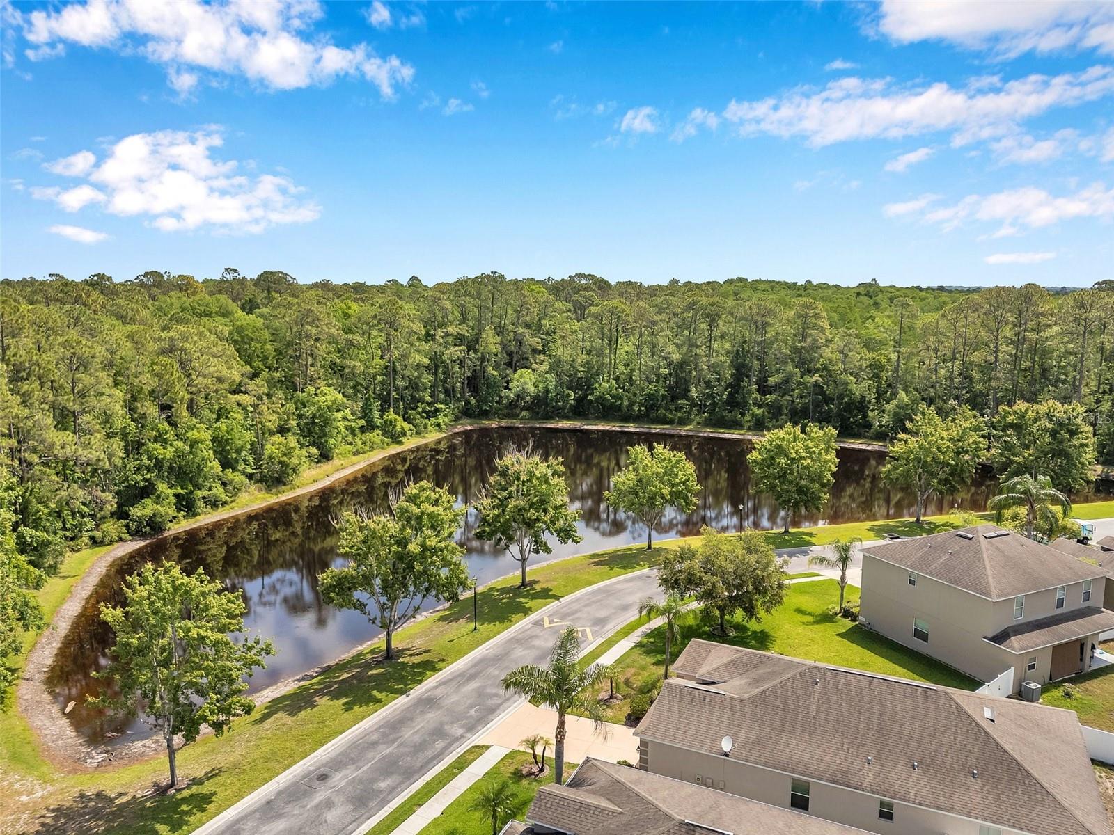12831 WHITE BLUFF ROAD