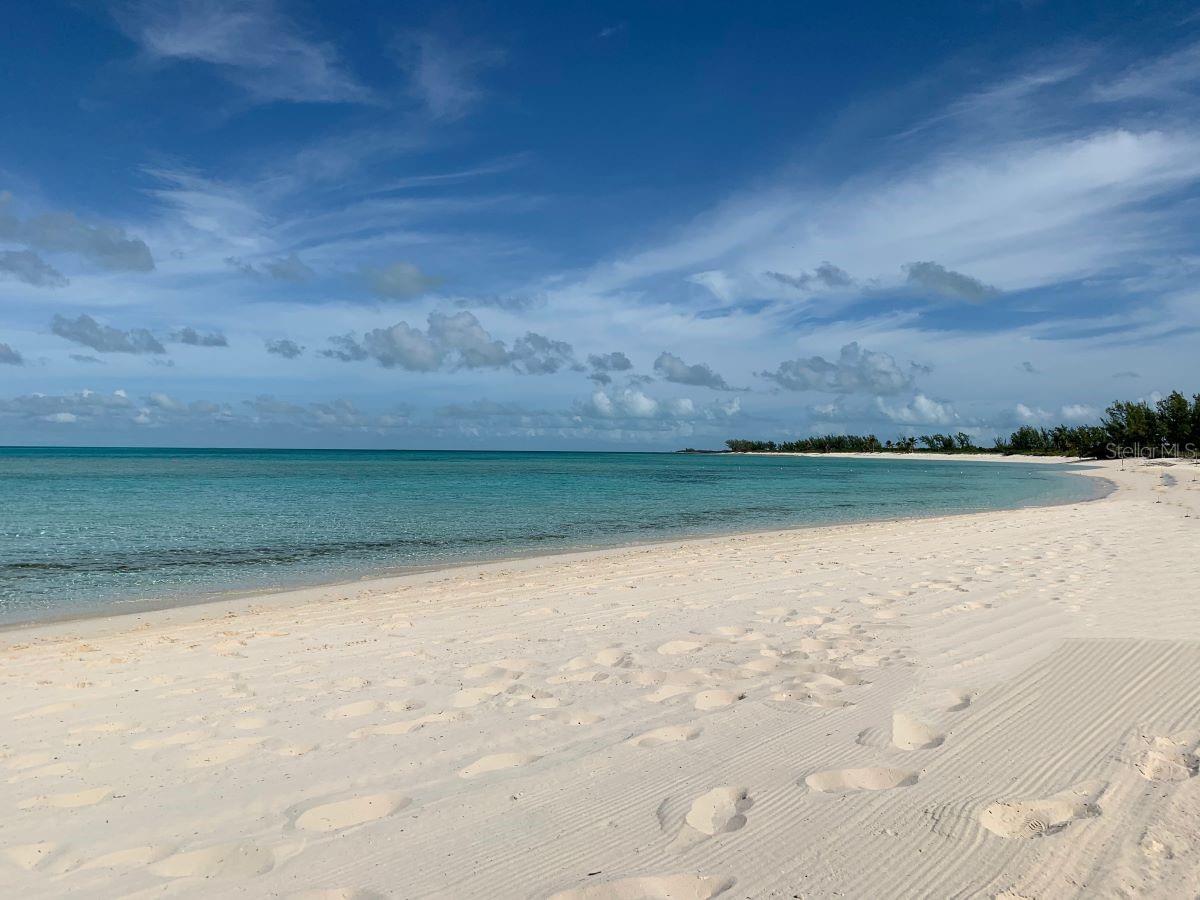 PALMA SOLA PARK - Land