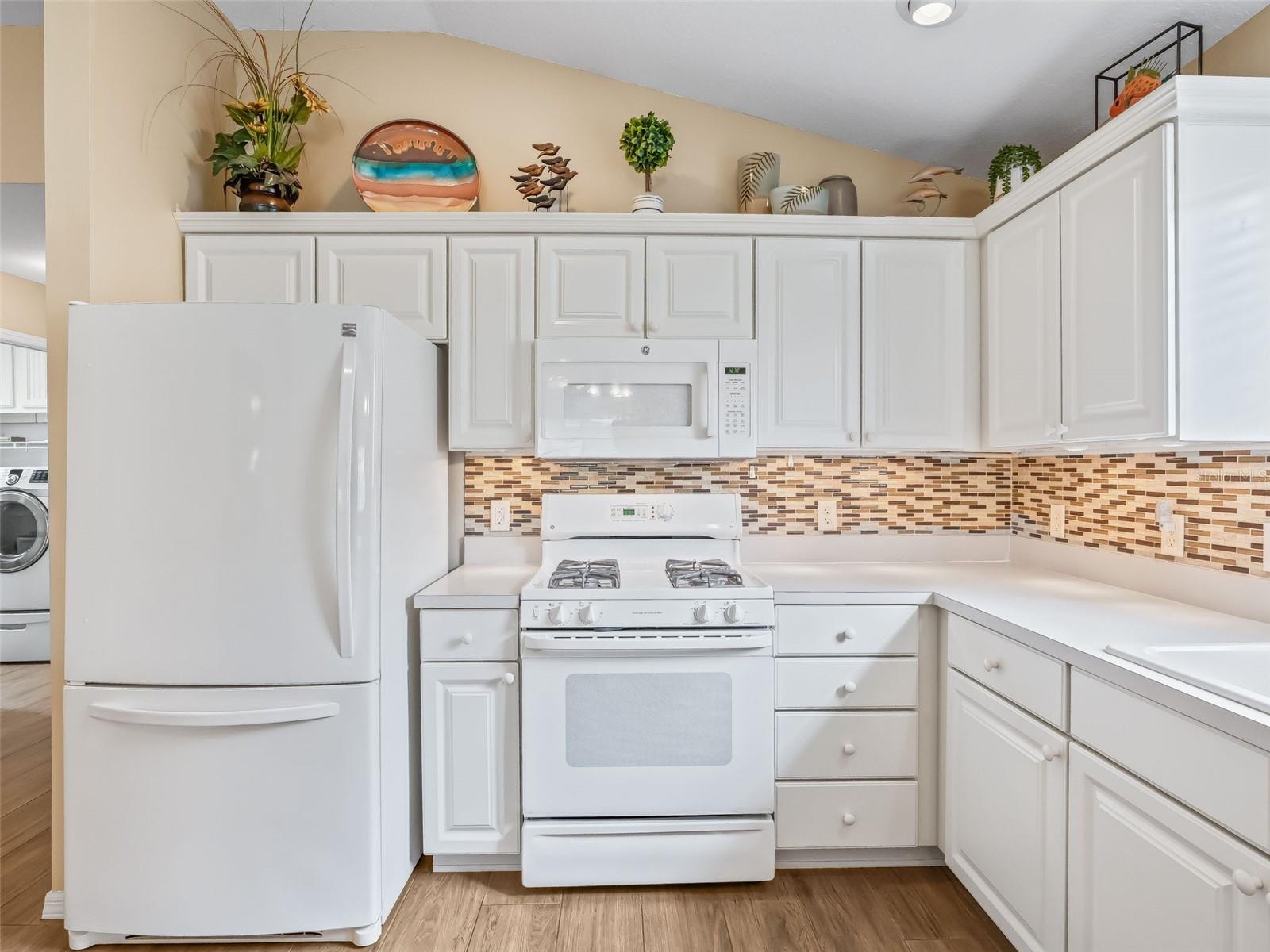 VILLAGES OF SUMTER CARLTON VILLAS - Residential