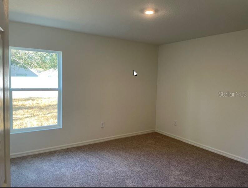 7 ZONAL GERANIUM COURT