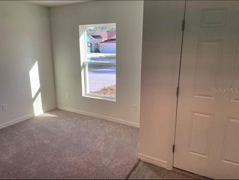 7 ZONAL GERANIUM COURT