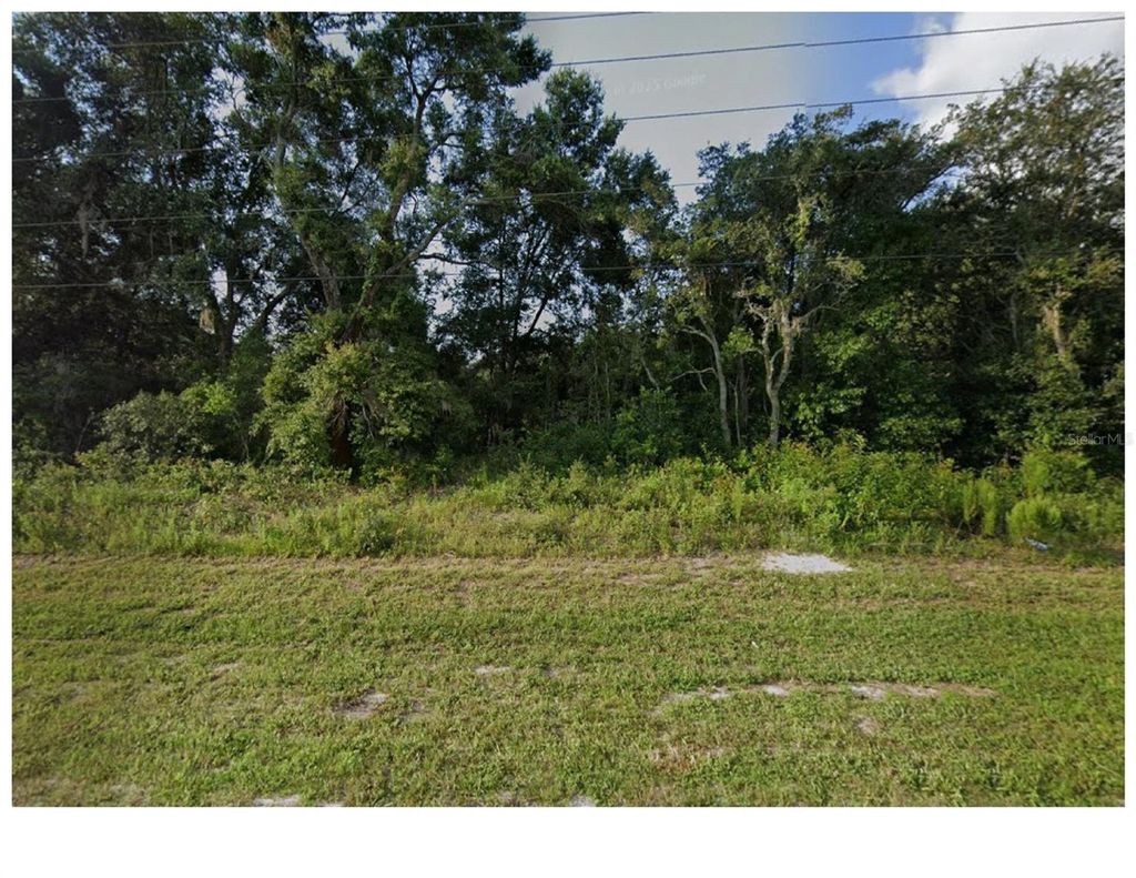 Photo of 17314 County Line Road, Spring Hill, FL 34610 (MLS # TB8439069)