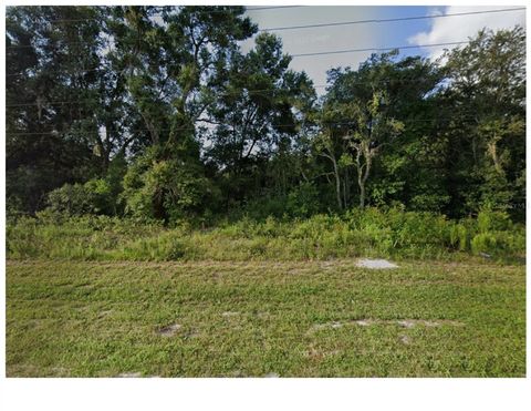 17314 COUNTY LINE ROAD SPRING HILL FL 34610