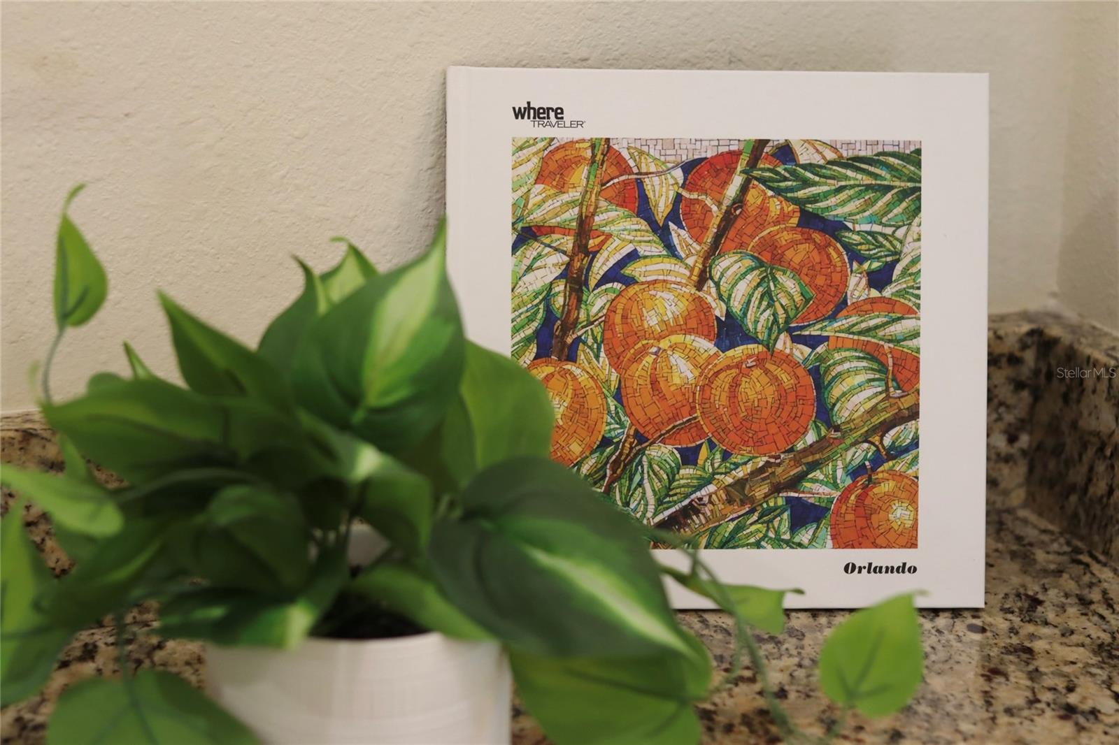 REUNION WEST PH 1 WEST & AMENT CTR RPLT - Residential