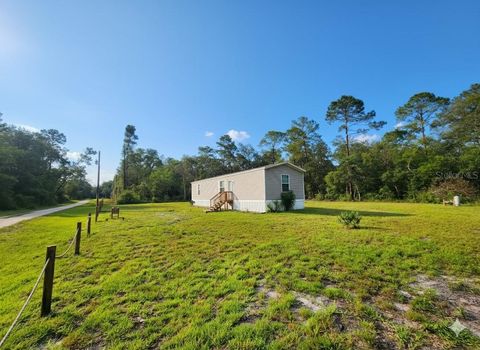 Photo of 23213 NE 111th Court, Fort Mccoy, FL 32134 (MLS # OM707920)