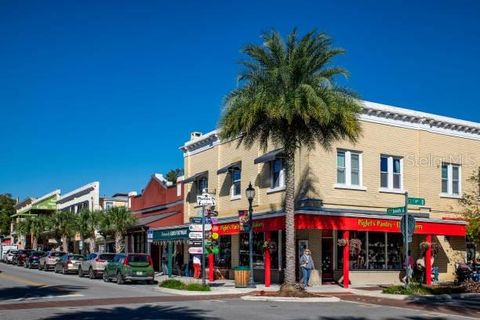 A home in MOUNT DORA