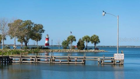 A home in MOUNT DORA