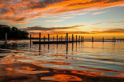 A home in MOUNT DORA