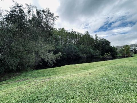 A home in TAMPA