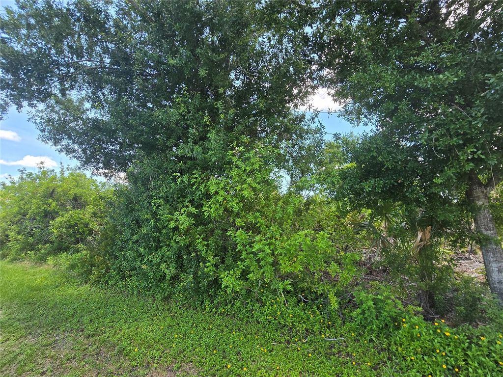 Photo of 6199 Sturgis Street, Englewood, FL 34224 (MLS # D6142825)