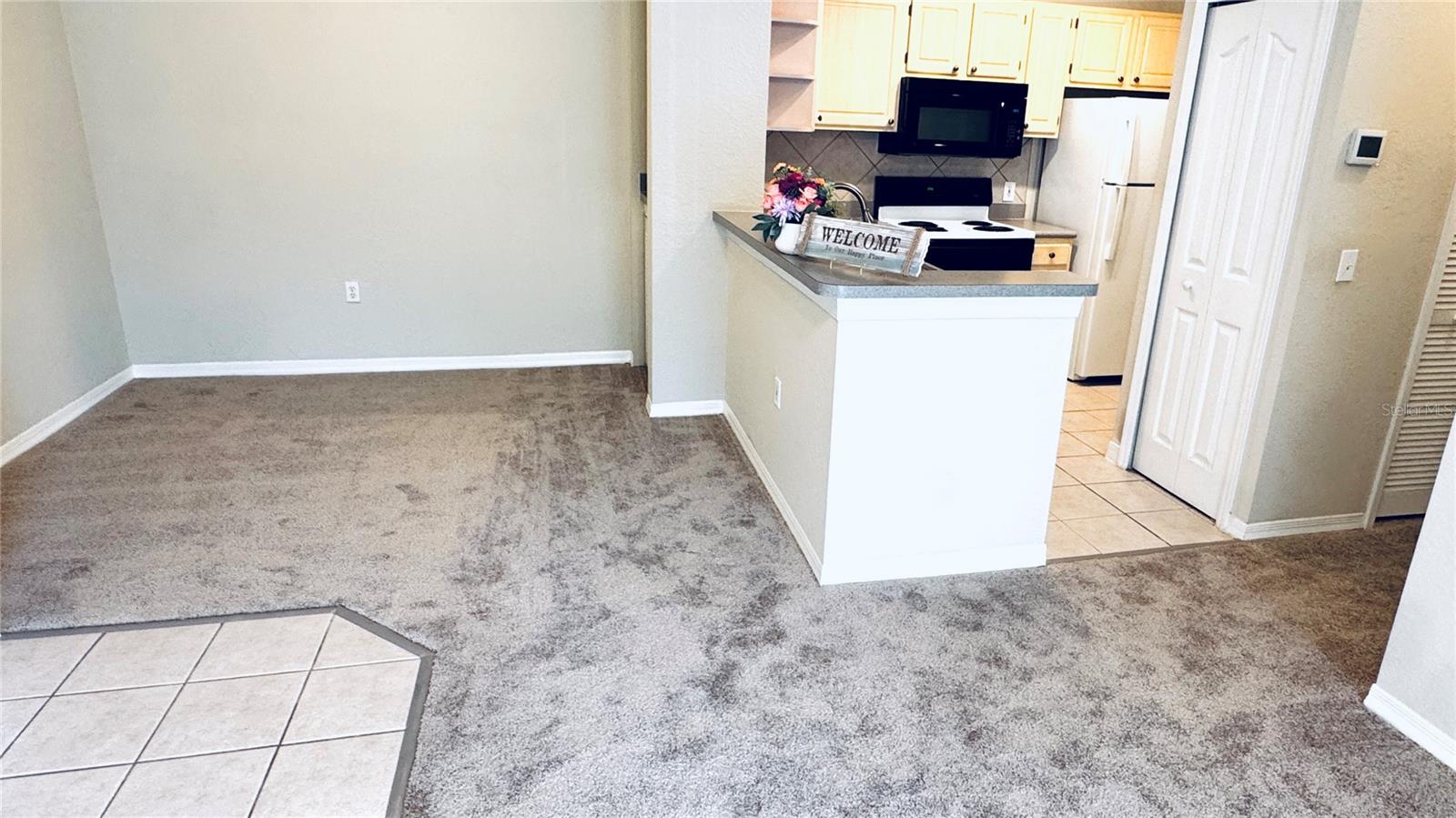 1375 LAKE SHADOW CIRCLE 11203