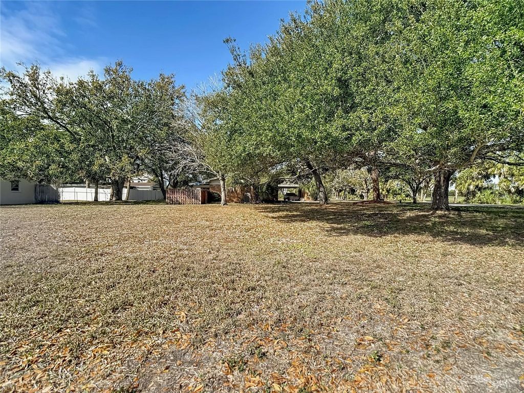 Photo of 3700 Dana Shores Drive, Tampa, FL 33634 (MLS # O6384948)