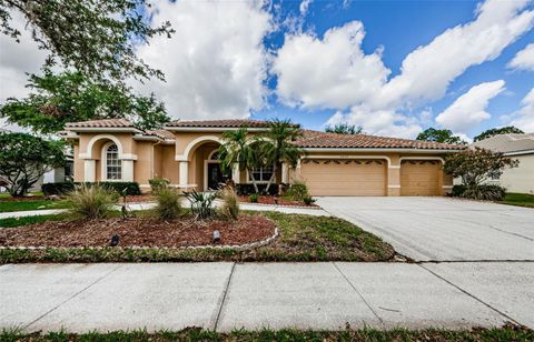 2042 DIAMOND COURT OLDSMAR FL 34677