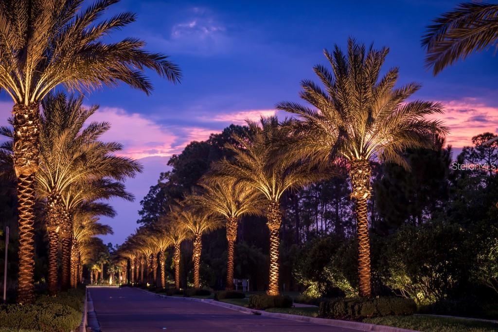 GROVE RESORT - Residential