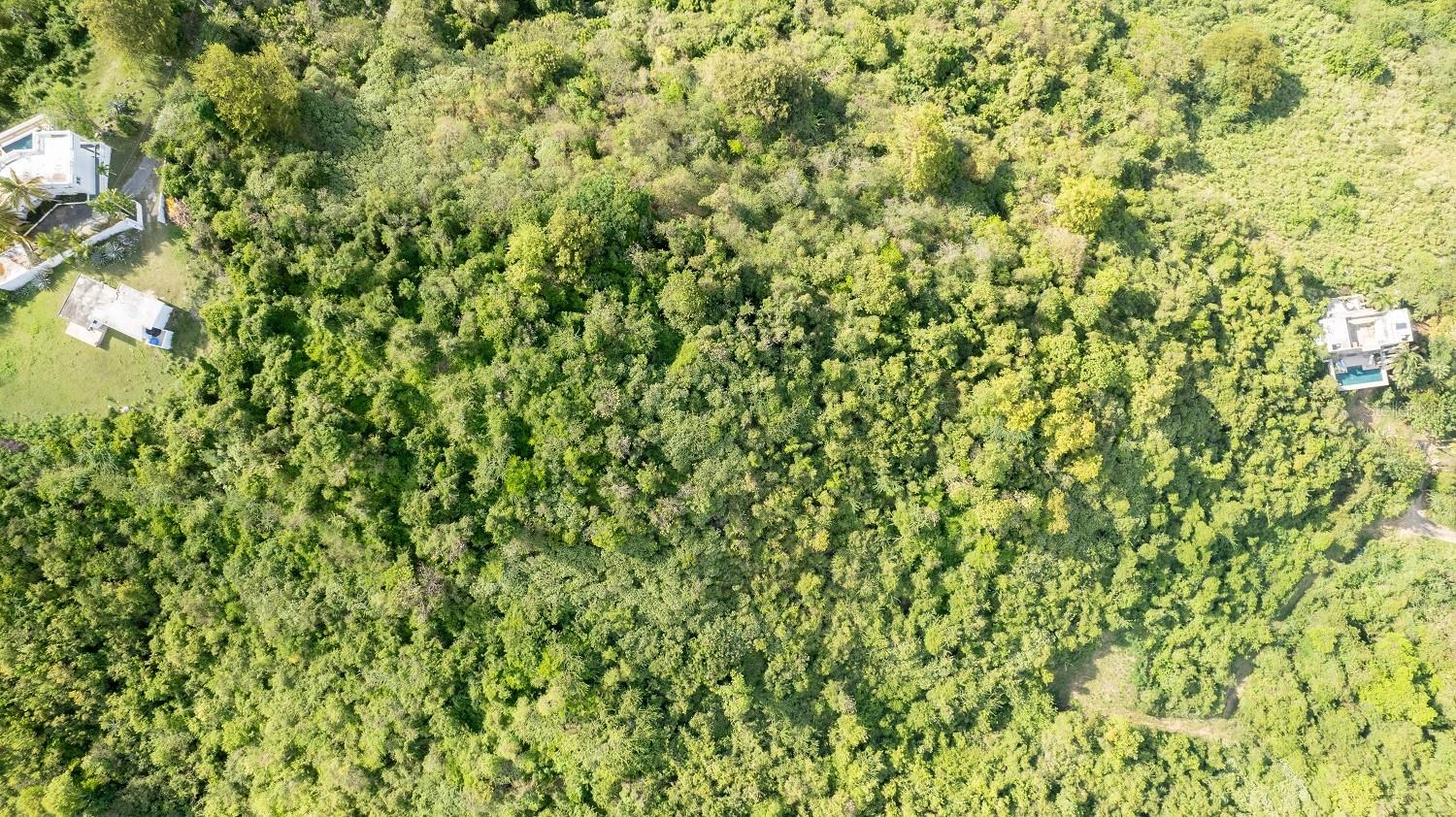 BARRIO MONTE SANTO - Land