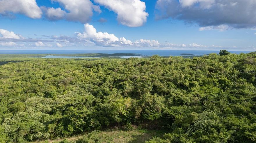 SECLUDED!  Private acre of land with Caribbean and Atlantic ocean views located on a dead-end street in Monte Santo.  Secluded, yet close to everything.  Manageable slope provides un-obstructable views of the Caribbean Sea.  Titled.  Motivated Seller.