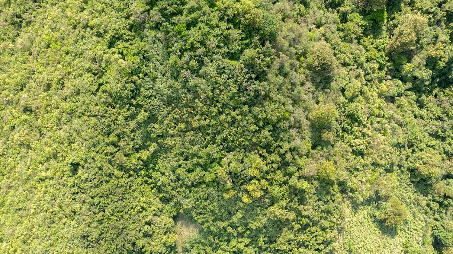 BARRIO MONTE SANTO - Land