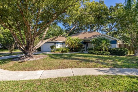 A home in WINTER GARDEN