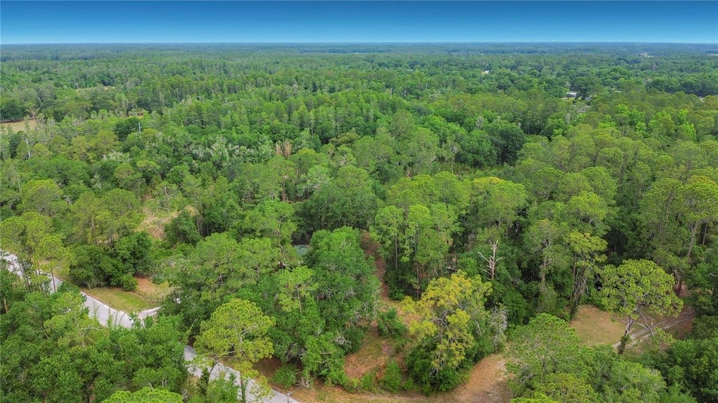 Photo of 1210 Pinebend Drive, Lakeland, FL 33809 (MLS # O6405878)