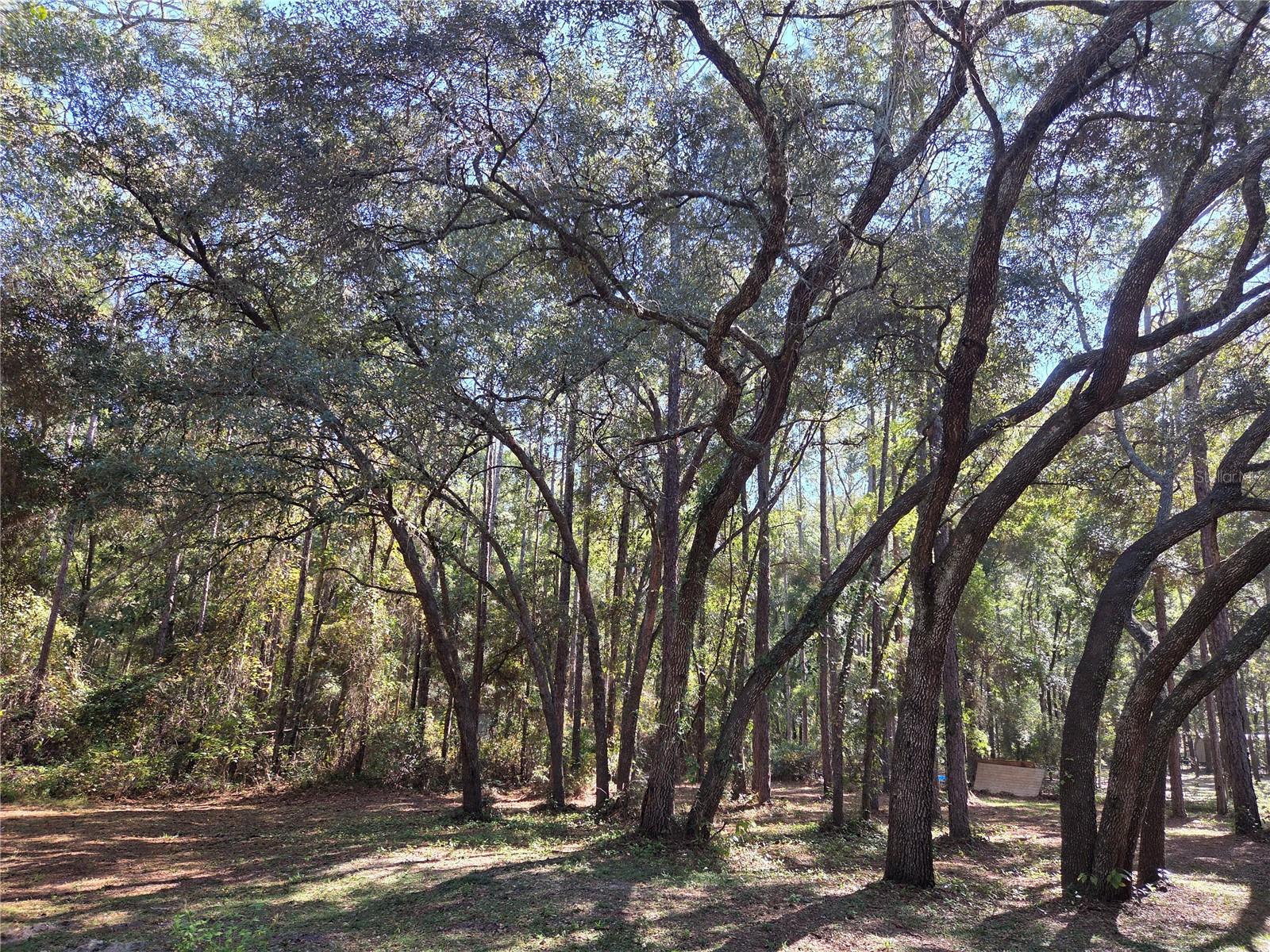 LAKE HIGHLANDS - Residential