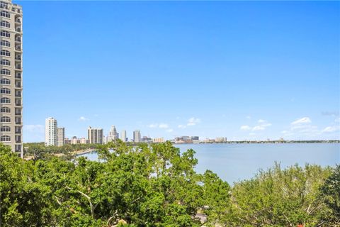3301 BAYSHORE BOULEVARD 702E TAMPA FL 33629