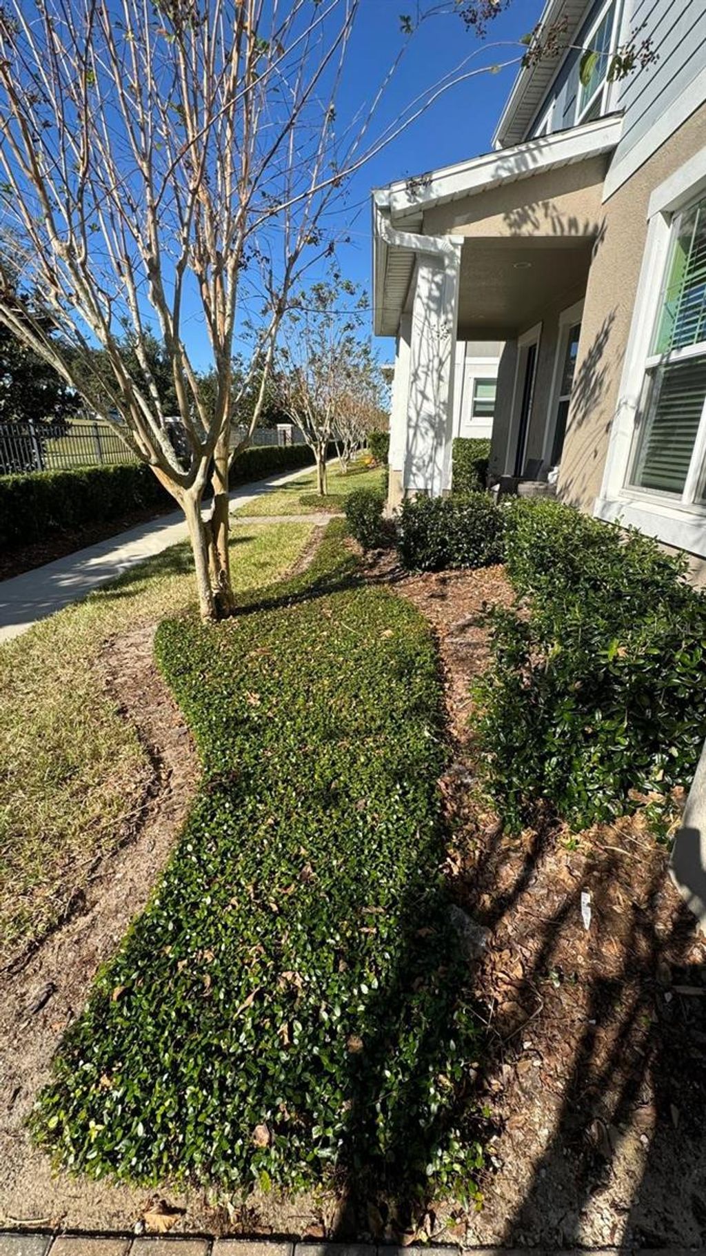 Photo of 11168 Hanlon Terrace Alley, Winter Garden, FL 34787 (MLS # O6365800)