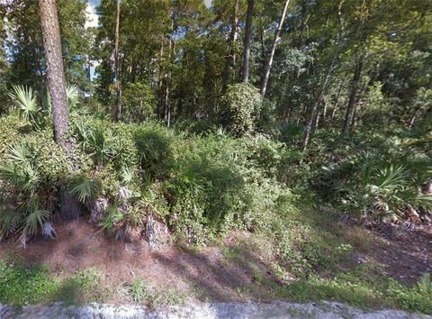 1465 EAST PARKWAY DELAND FL 32724
