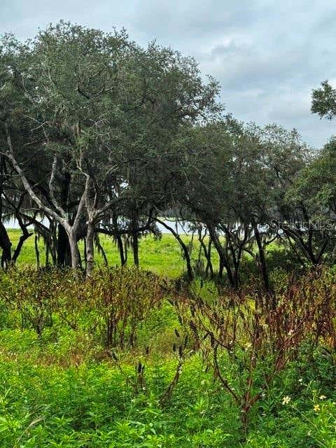 Photo of Tbd SW Shorewood Drive, Dunnellon, FL 34431 (MLS # OM731070)