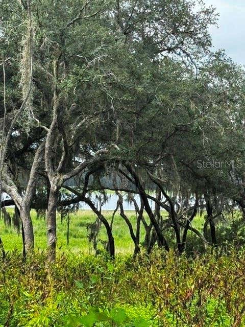 Photo of Tbd SW Shorewood Drive, Dunnellon, FL 34431 (MLS # OM731070)