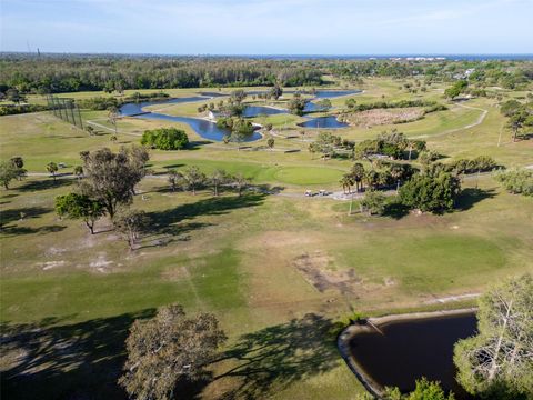 A home in TARPON SPRINGS