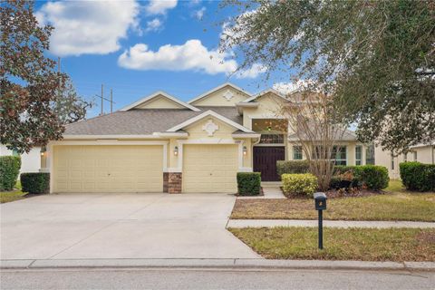 A home in LITHIA