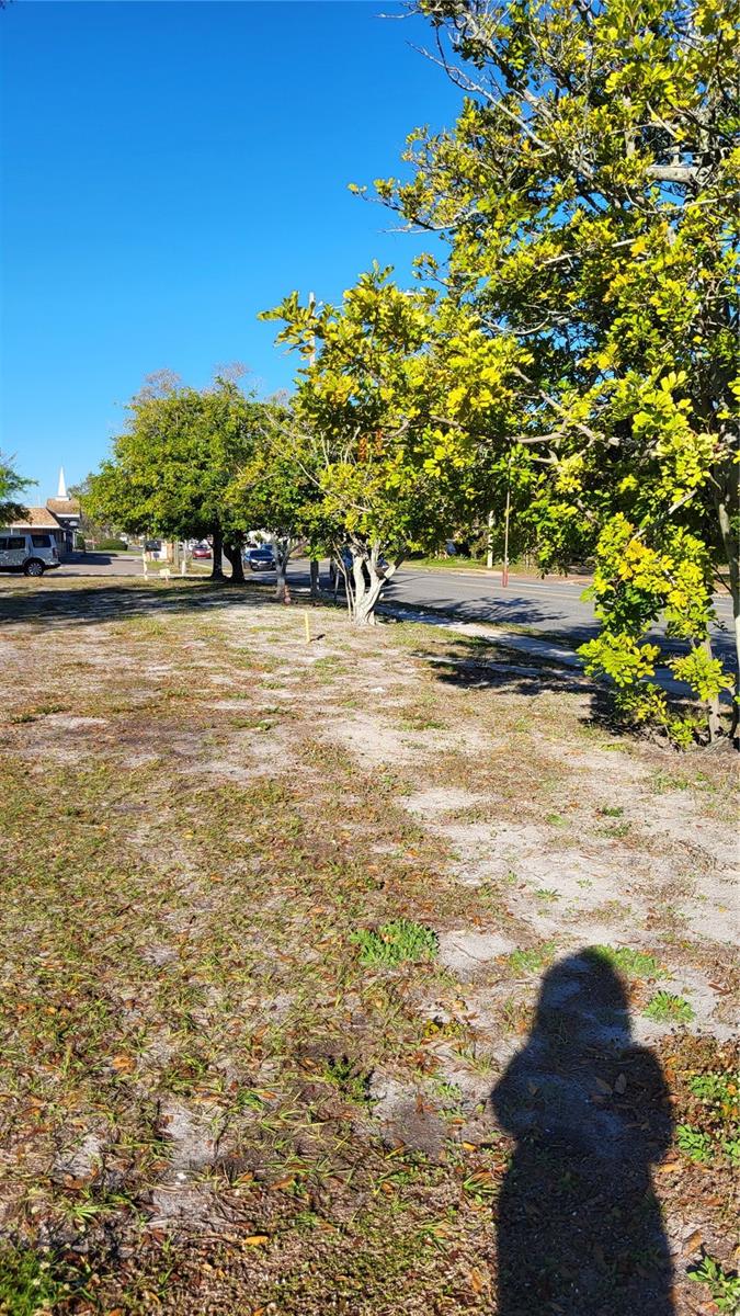 ROOSEVELT PARK ADD - Land