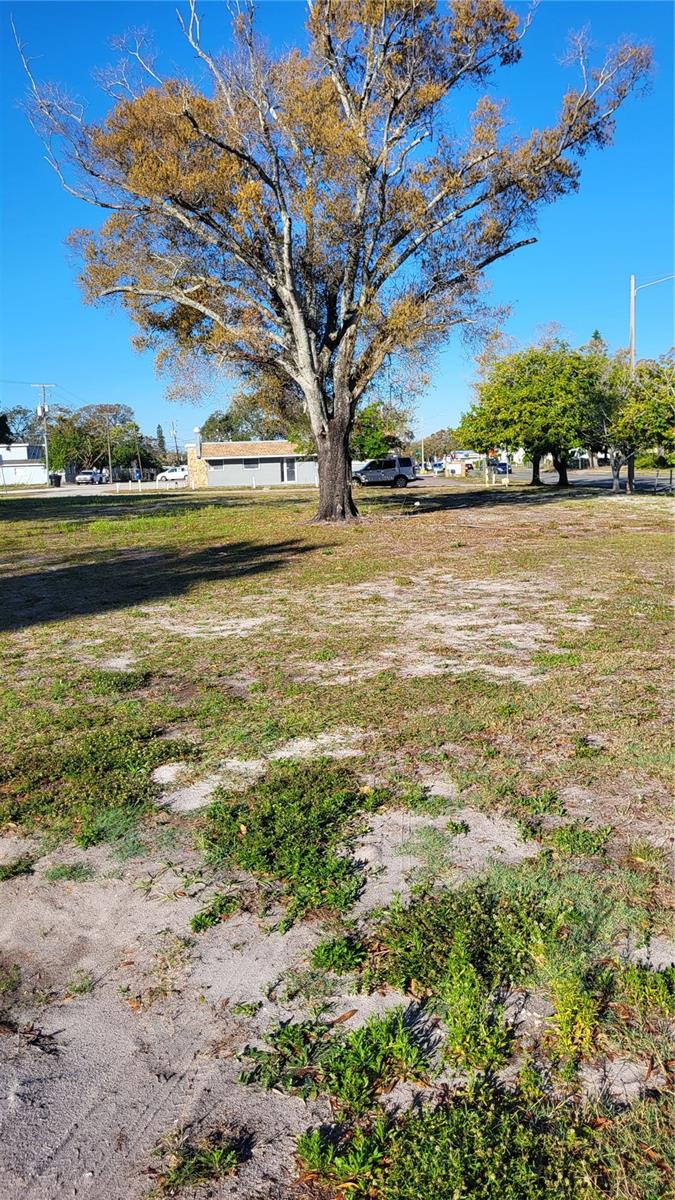 ROOSEVELT PARK ADD - Land