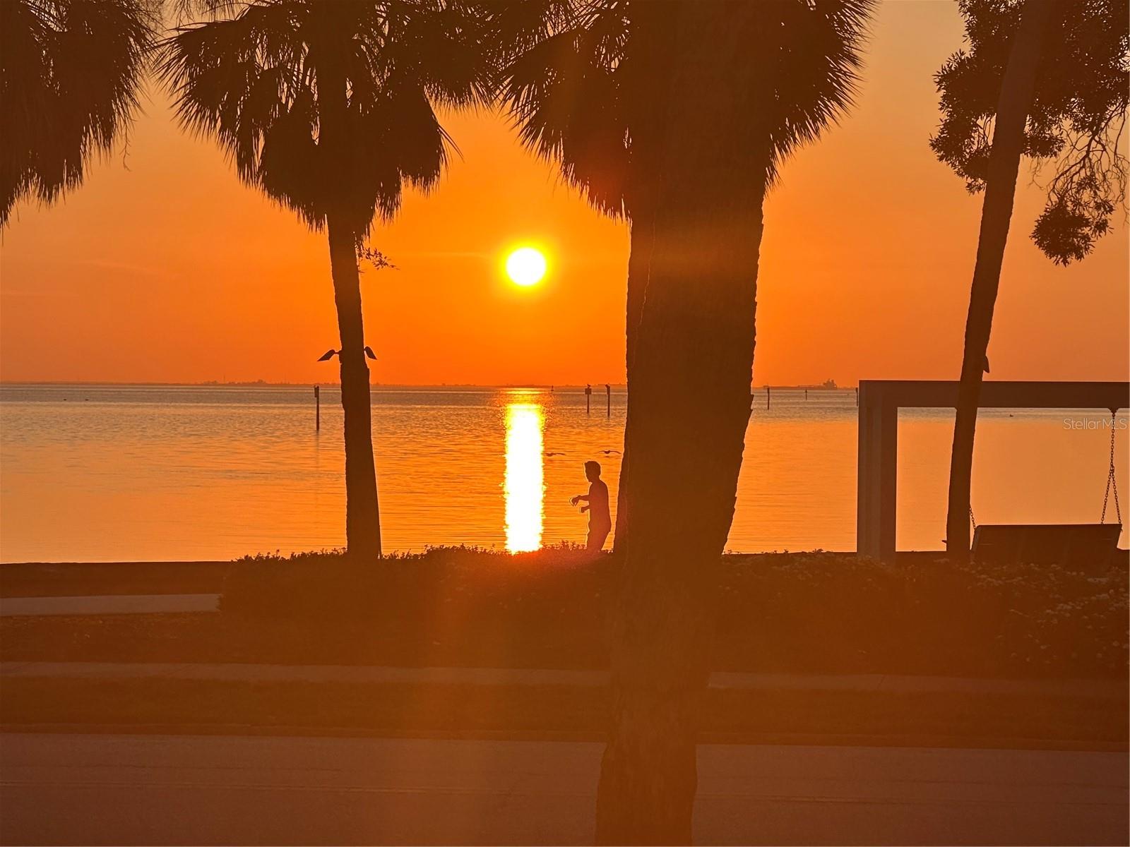 SNELL & HAMLETTS NORTH SHORE ADD - Residential