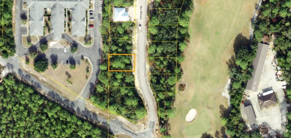 111 ANHINGA TRL, CARRABELLE, FL 32322 - Image c40d49a2c67f2a189dbe5d02f5626e55/991147941
