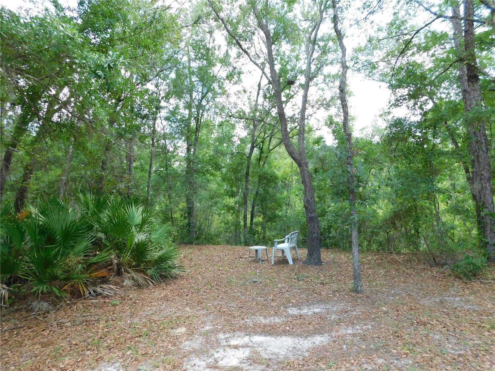 HOMOSASSA UNIT 03 - Residential