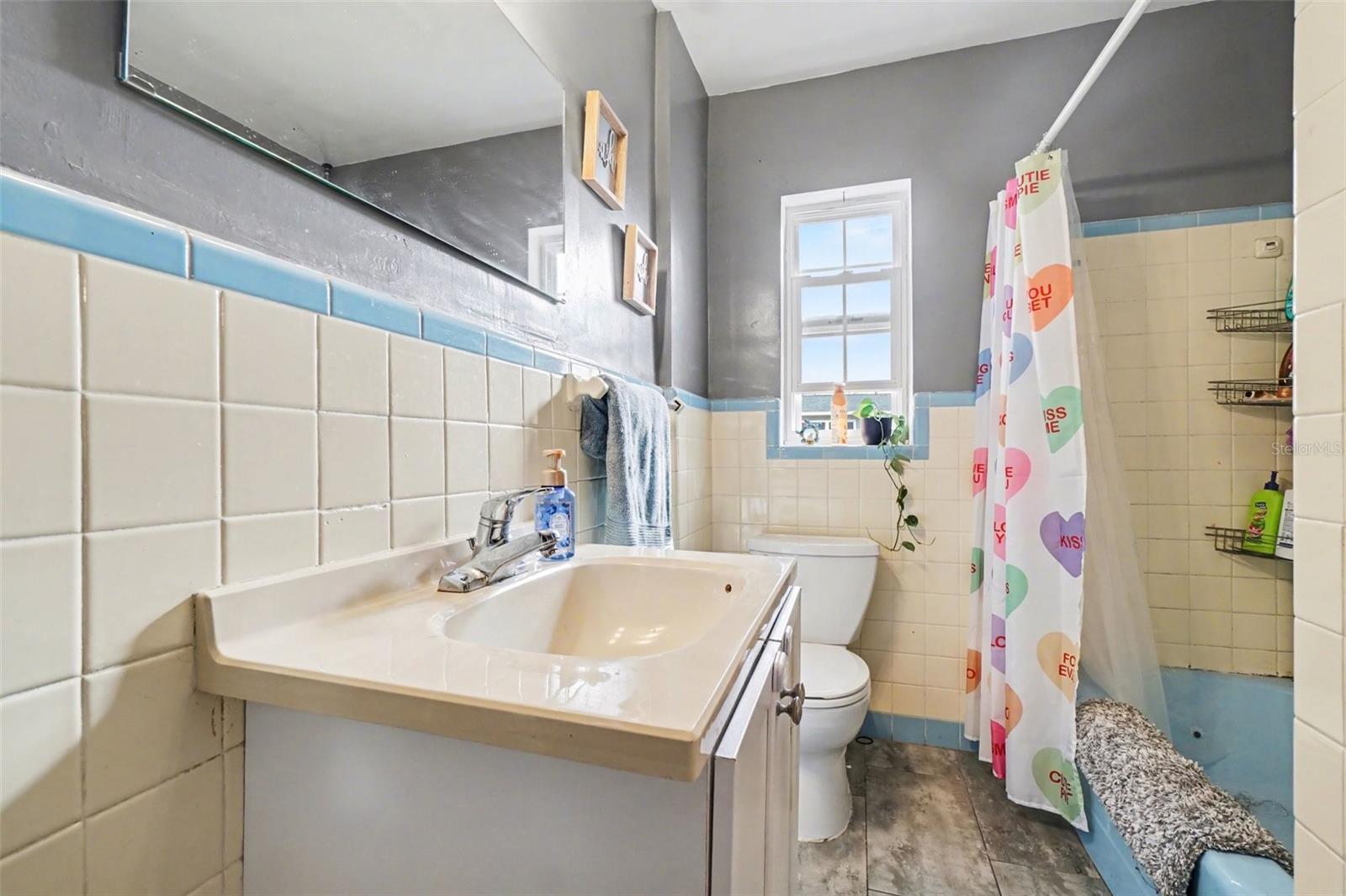 LAKE RIDGE PARK - Residential