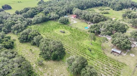 Tiny photo for 5117 Cr 316a, Bushnell, FL 33513 (MLS # TB8517259)