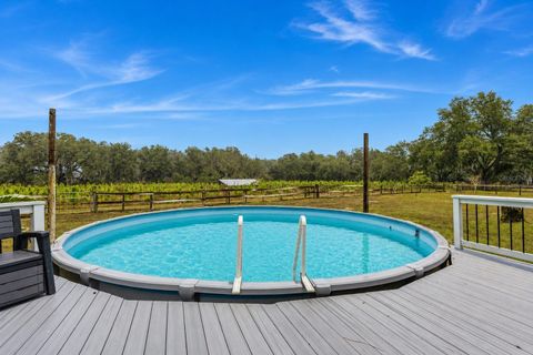 Tiny photo for 5117 Cr 316a, Bushnell, FL 33513 (MLS # TB8517259)