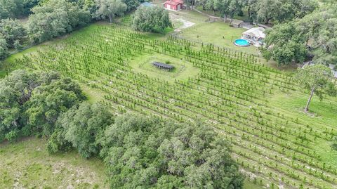 Tiny photo for 5117 Cr 316a, Bushnell, FL 33513 (MLS # TB8517259)
