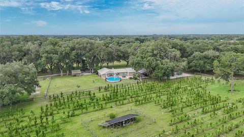 Tiny photo for 5117 Cr 316a, Bushnell, FL 33513 (MLS # TB8517259)