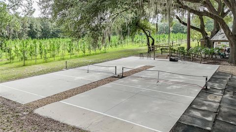 Tiny photo for 5117 Cr 316a, Bushnell, FL 33513 (MLS # TB8517259)