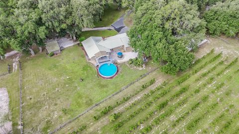 Tiny photo for 5117 Cr 316a, Bushnell, FL 33513 (MLS # TB8517259)