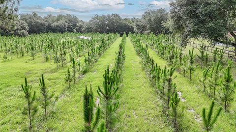 Tiny photo for 5117 Cr 316a, Bushnell, FL 33513 (MLS # TB8517259)